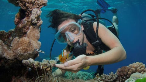 SIS20419 – Certificate II in Outdoor Recreation